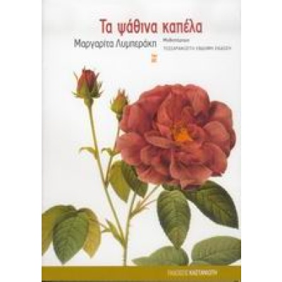 Τα ψάθινα καπέλα • Μαργαρίτα Λυμπεράκη • Εκδόσεις Καστανιώτη • Εξώφυλλο • bibliotropio.gr