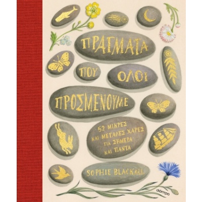 Πράγματα που όλοι προσμένουμε • Sophie Blackall • Διόπτρα • Εξώφυλλο • bibliotropio.gr